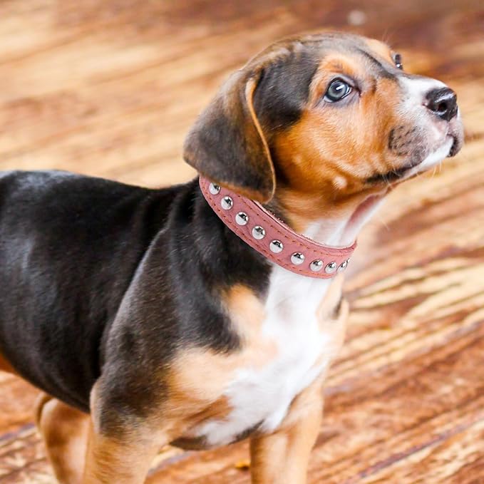 Stylish Comfortable Dog Collar for Pets Vintage Soft Puppy Neck Decor for Daily Wear and Photo Shoots Accessory for Special Occasions