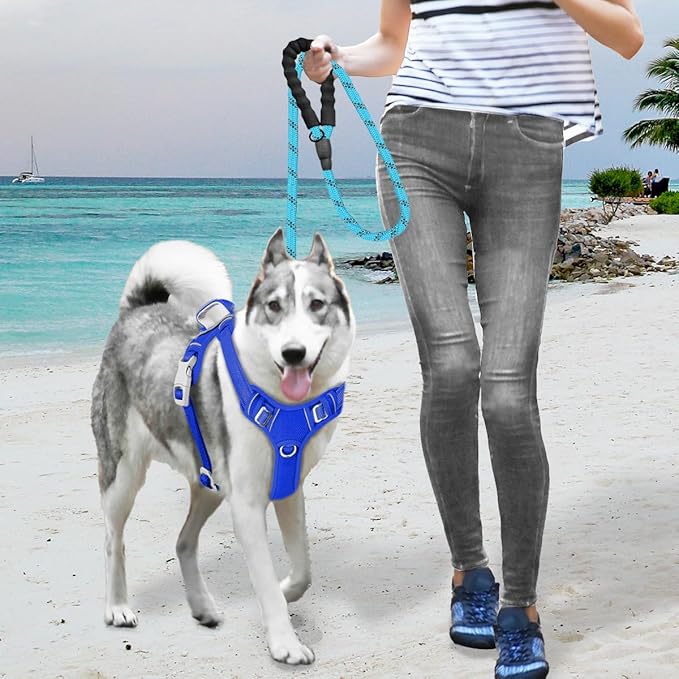 BARKBAY No Pull Dog Harness Large Reflective Dog Harness with Front Clip and Easy Control Handle for Walking Training Running with ID tag Pocket(Sapphire Blue,XL)