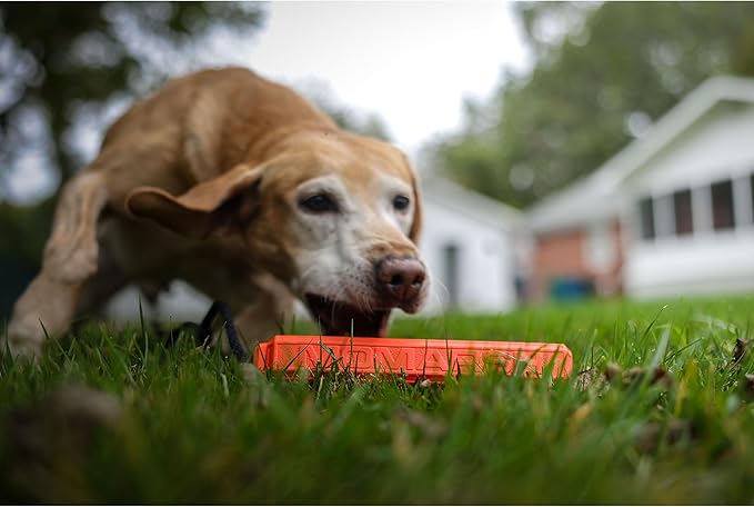 Momarsh Floating Dog Training Bumper | Durable Dummy with Easy Launch Rope | Advanced Waterfowl Hunting Retriever Dog Tool | Enhance Agility and Obedience