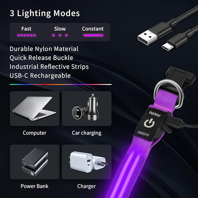PetIsay Dog Light up Collar for Night Walking - High Visibility LED Dog Collar - Rechargeable - Waterproof - Reflective - Adjustable Lighted Glow Collars(Purple,Large)