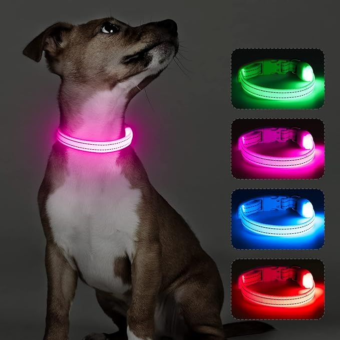 Light Up Dog Collar for Small Dogs - LED Dog Collar Rechargeable Adjustable Puppy Collars, Glow in The Dark Dog Lights for Night Walking & Camping (X-Small, Pink)