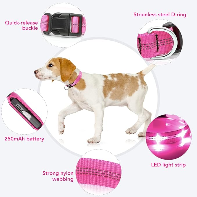 Weesiber Light Up Dog Collar Rechargeable LED Dog Collar Glowing in The Dark for Night Walking for Small Medium Large Doggos (Pink, Large Collar)