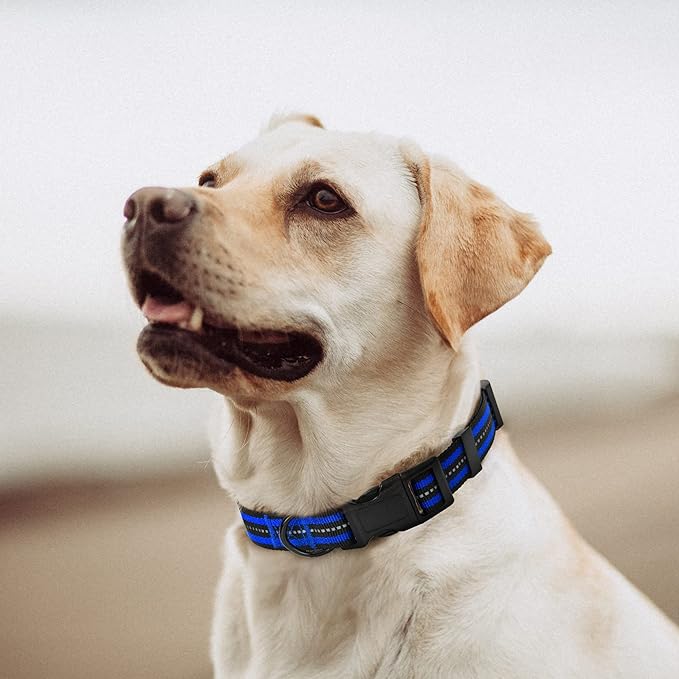 Mile High Life Reflective Dog Collar | Nylon Pet Collars wiith Buckle | Light Weight Puppy Collars | Blue Dog Collars for Small Dogs (Blue, S)