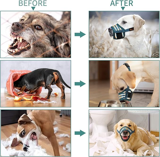 HEELE Dog Muzzle,Soft Nylon Muzzle Anti Biting Barking Chewing,Air Mesh Breathable Drinkable Adjustable Loop Pets Muzzle for Small Medium Large Dogs 4 Colors 4 Sizes (P-Green Valley, L)