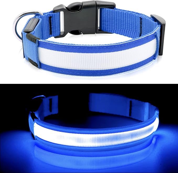 BSEEN Light Up Dog Collars - Reflective LED Dog Collar, Rechargeable Dog Glow Collar, Waterproof Glowing Dog Collar Lights for Night Walking (Royal Blue, Large)