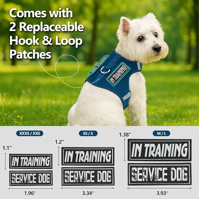 Dog Harness for Puppy – Adjustable Reflective Easy Put On Soft Mesh Vest for Small Dogs with 2 Patches (Prussian Blue,S)
