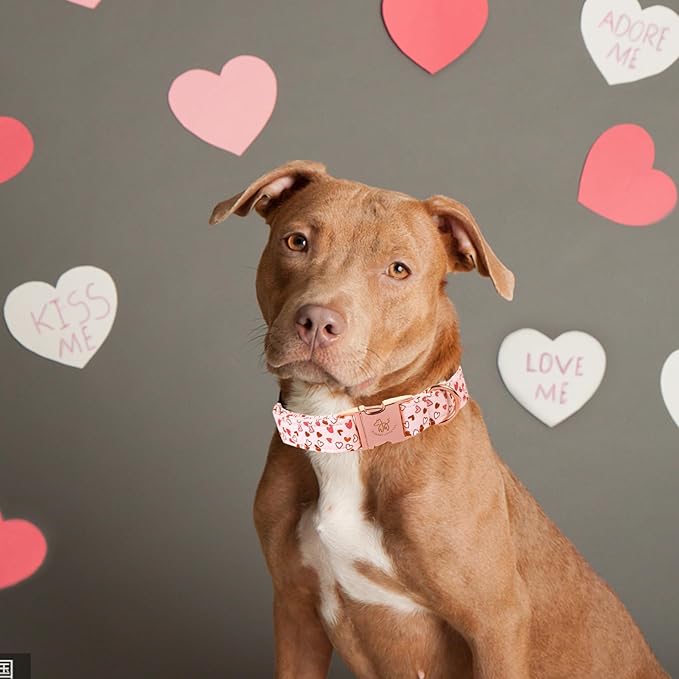 Elegant Little Tail Pink Heart Dog Collar, XL, Cotton, Unique Design, Hearts, Multiple Occasions, Large Dogs