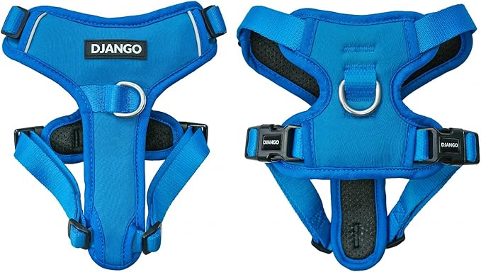 DJANGO Tahoe No Pull Dog Harness – Escape-Proof Dog Harness for Small Dogs with Front & Back Clips for Everyday Use – Adjustable, Padded, Reflective, Secure Fit, Easy On/Off – Alpine Blue, Small