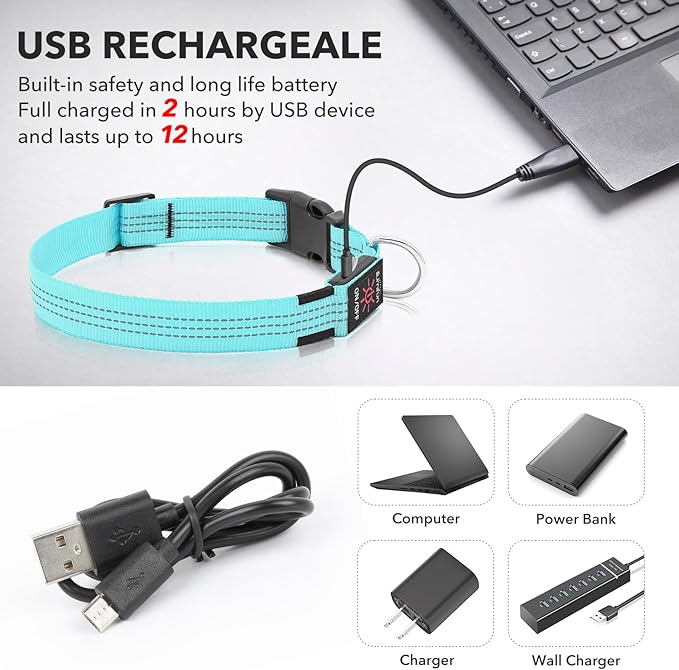 Illumifun LED Dog Collar, Reflective Light Up Collars for Small Dog, USB Rechargeable Pet Collar Light for Dogs Walking Camping (BlueⅢ, Small)