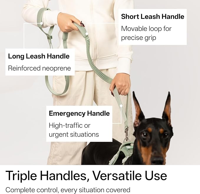 Hands Free Dog Leash Adjustable Versatile Crossbody Waist Dog Leash Reflective Comfortable Padded Handles Shock Absorbing Walking Lead for Small Medium Large Dogs (Light-Burgundy, S)
