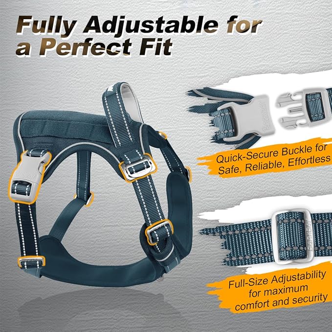 BARKBAY Service Dog Vest Tactical Dog Harness Medium Large Sized Dog Tags Personalized No Pull Adjustable Harness Reflective Working Training Easy Control Military Molle System(Legion Blue,L)