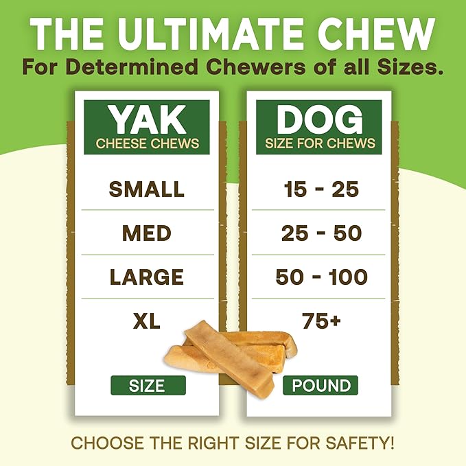 EcoKind Premium Gold Yak Cheese Himalayan Dog Chews, Healthy Dog Treats for Large Dogs, All Natural, High Protein Dog Chew, Water Buffalo, Large - 5 Chews