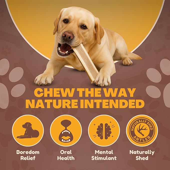 WhiteTail Naturals - Split Antlers for Large Dogs - (2 Pack- Large) - Naturally Shed, Long Lasting Dog Antler Horn - Tough Chew Bones for Aggressive Chewers