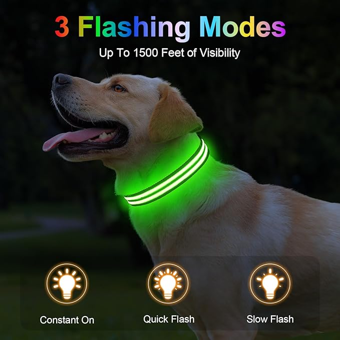 Light Up Dog Collar Rechargable,Reflective LED Collars for Small Medium Large Dogs,Lighted Dog Collars Lights for Night Walking-Waterproof,Black,S