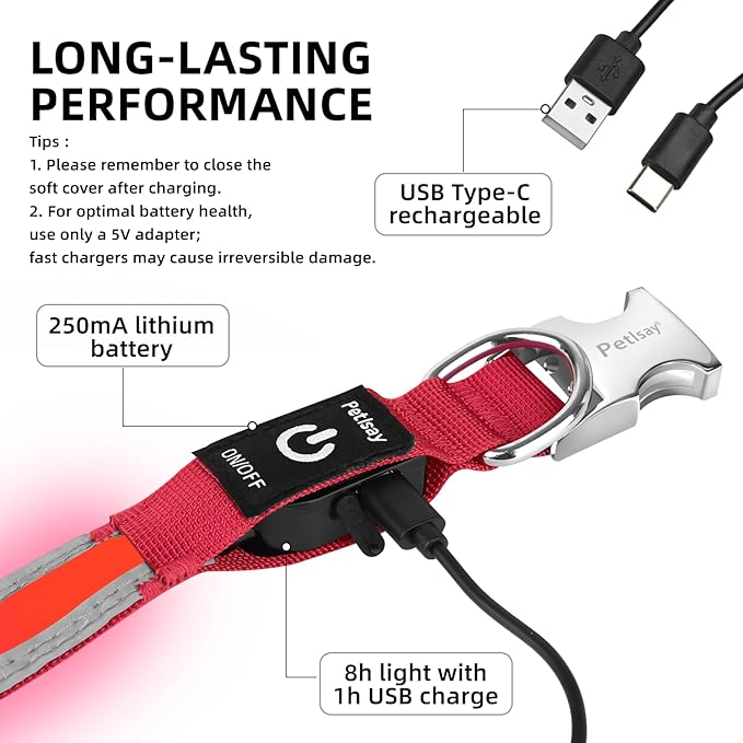 PetIsay LED Dog Collar Metal Buckle - Heavy Duty Light up Collars - Rechargeable IP68 Waterproof - Lighted Dog Collar for Night Walking, Hiking, Camping (Small, Red)