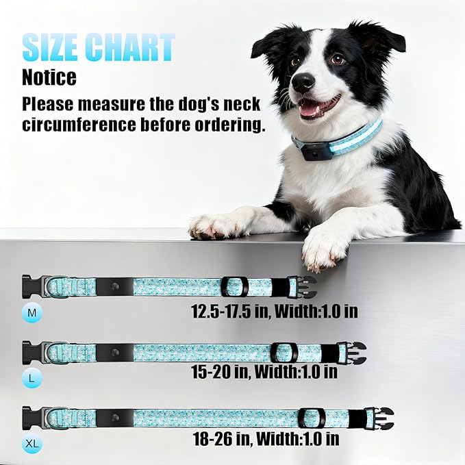 LED Dog Collar - Brightest Light Up Dog Collars - 1,600 Feet of High Visibility - Magnetic Charging - Dog Lights for Night Walking, Daisy Medium