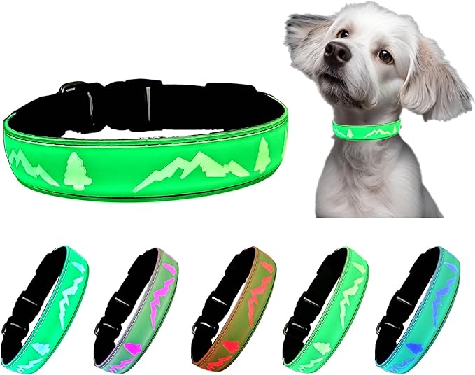 Personalized Light up Dog Collars Rechargeable with Waterproof airtag Holder for Black Dog Night Walking (Green Collar 15 Modes Lighting, M(11.8-15.7"))