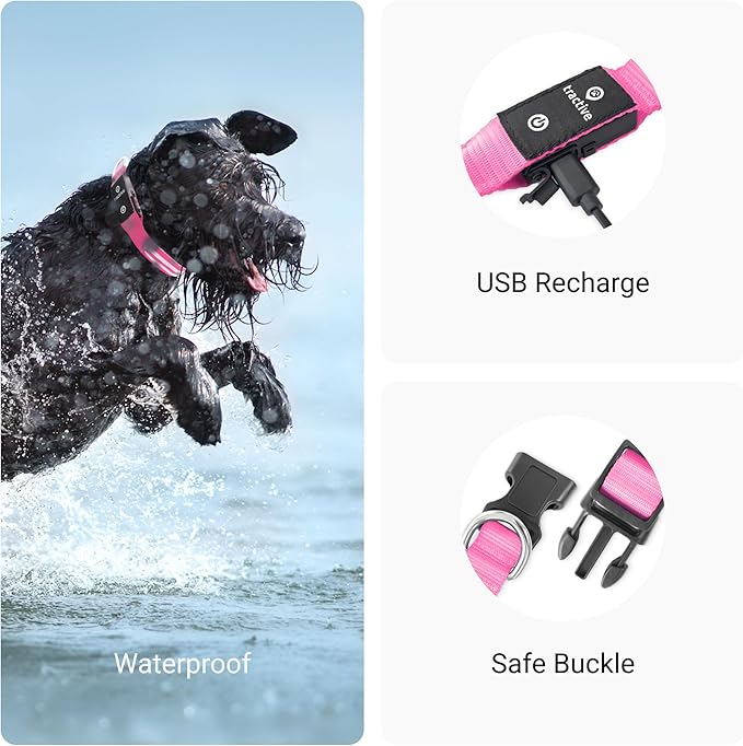 Tractive LED Light Up Dog Collar USB Rechargeable Waterproof (Pink)