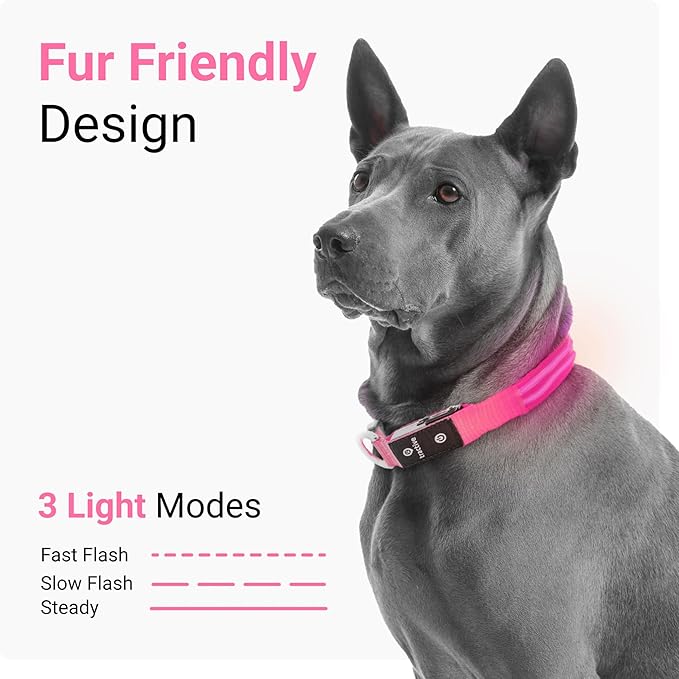 Tractive LED Light Up Dog Collar USB Rechargeable Waterproof (Pink)