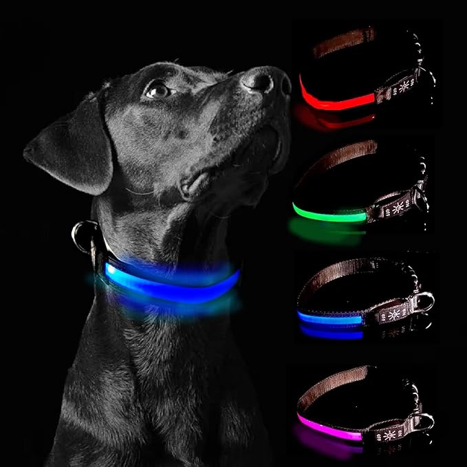 Glow Fetch It! HD Ultra Bright LED Safety Dog Collar, Adjustable, USB Rechargeable with 3 Modes, Water Resistant, Extremely Durable and Easy to Clean (Blue, Medium)