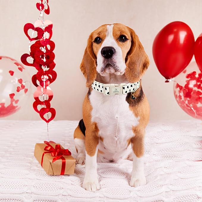 Lionheart glory Valentine's Dog Collar-Hearts Print Dog Collar for Large Cute Dog Collars Spring Female Male Pet Adjustable Heavy-Duty Soft Collar Holiday