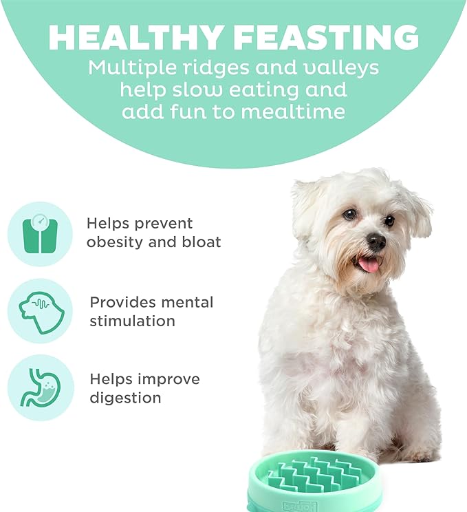 Outward Hound Small Fun Feeder Slow Bowl, Puzzle for Fast Eaters, Puppies, Cats & Small Dogs, Wet or Dry Food, Helps Prevent Bloat & Aid Digestion, 3/4 Cup Capacity, Non-Slip, Made Without BPA, Mint