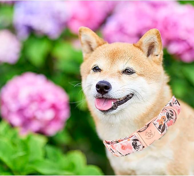 Elegant little tail Dog Collar, Pink Floral Pattern Pet Collar Summer Durable Cute Dog Collars Male or Female Pet Gift Adjustable Dog Collar for Small Dogs