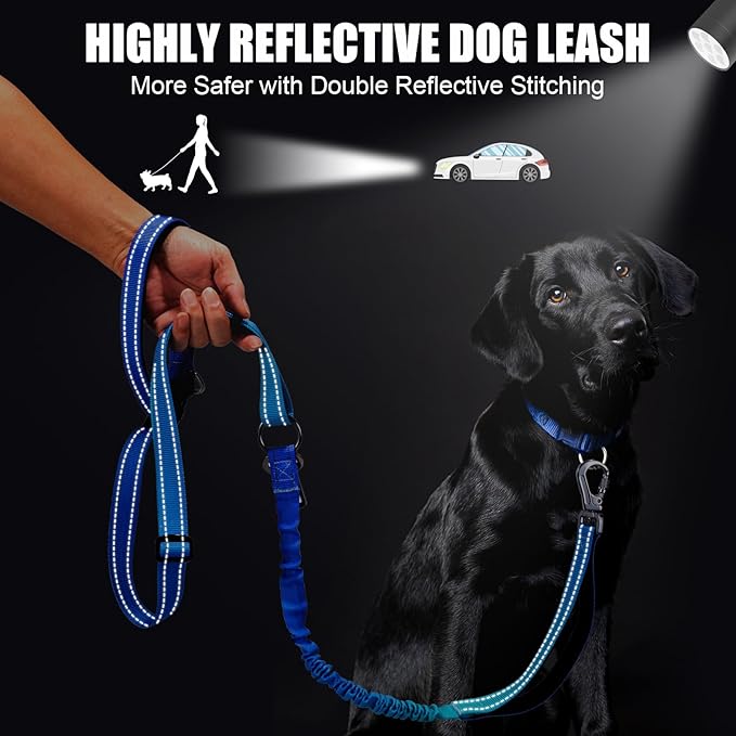 Heavy Duty Hands Free Dog Leash, 4-6 FT Reflective Adjustable Waist Dog Leash Belt with Padded Handles, Shock Absorbing Bungee and Car Seat Belt for Large Medium Dogs (Gradient Cobalt, L)