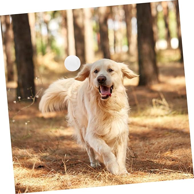 UPKOCH Dog Scent Training Tool Scent Training Ball for Service Dog for Nose Work for Tracking and Detection Activities