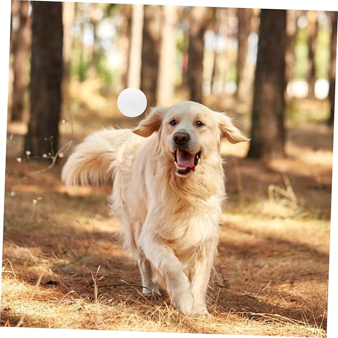 Scent Training Tool for Dogs Scent for Nose Work and Training Accessory for Service and Detection