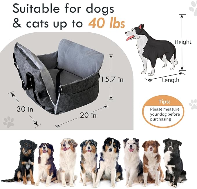 Dog Car Seat for Small/Medium Dogs Under 40 lbs - Elevated Pet Seat with Safety Belt, Non-Slip Base, and Storage Pockets for Car Travel (Gray, 30 x 20.5 inch)