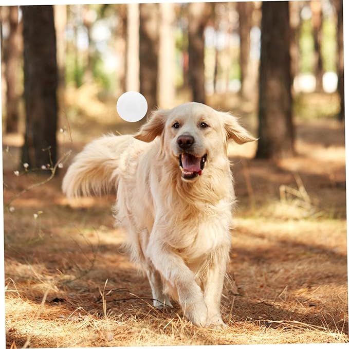 BESPORTBLE Dog Training Scent Tool for Nose Work Scent Games and Service Dog Training for Improved Engagement and During