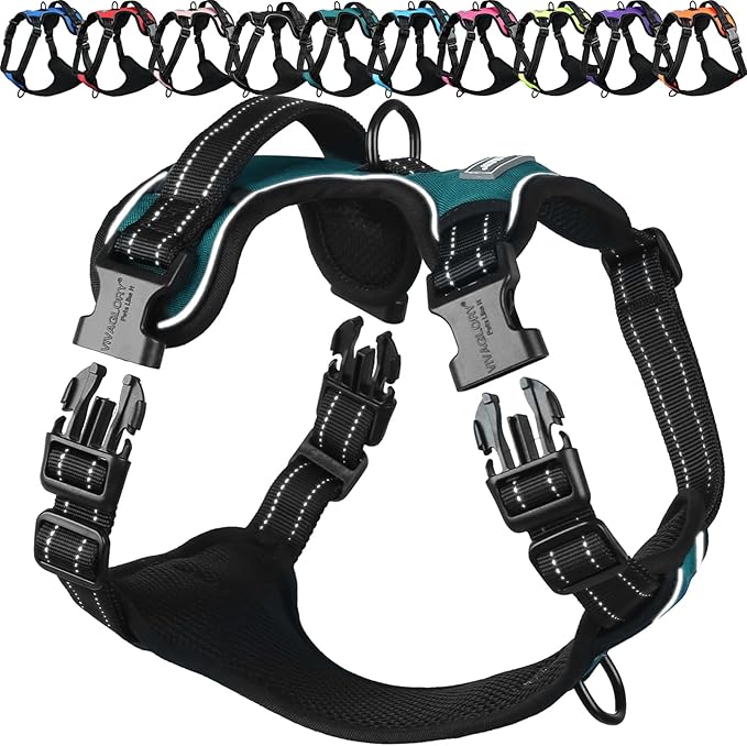 VIVAGLORY Dog Harness Easewalk No Pull Dog Harness with Handle Front Clip & Back Clip for Training Walking Lifting, No Pull Adjustable Easy On Padded Comfortable for Pet, XL, Hunter Teal - Plain