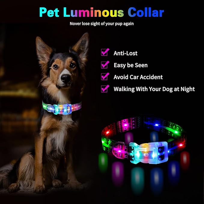 Light Up Dog Collars,LED Dog Collar Rechargeable Waterproof,2-in-1 Buckle Type Glow Collar for Medium Large Dogs.XS(Bohemian Blue)