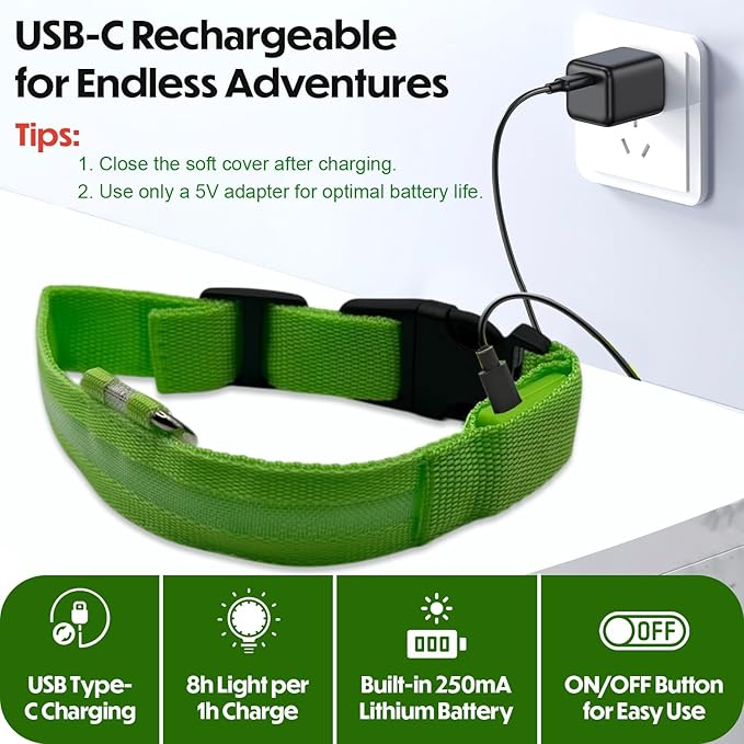 Light Up Dog Collar – Reflective, Adjustable, Rechargeable Electronic Glow Pet Collars – Bright, Comfortable, High Visibility LED Dog Collar for Night Safety, Outdoor Walk, Flashing Fun, Green, Small
