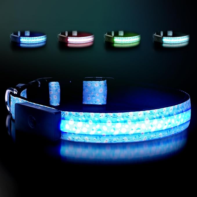 LED Dog Collar - Brightest Light Up Dog Collars - 1,600 Feet of High Visibility - Magnetic Charging - Dog Lights for Night Walking, Daisy Large