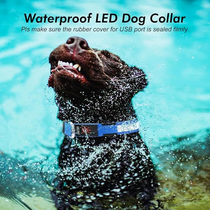 LED Dog Collar, USB Rechargeable Light Up Dog Collars, Adjustable Glow Collars for Dogs,Reusable Safety Dog Collar for Small, Medium, Large Dogs (Blue, Large)