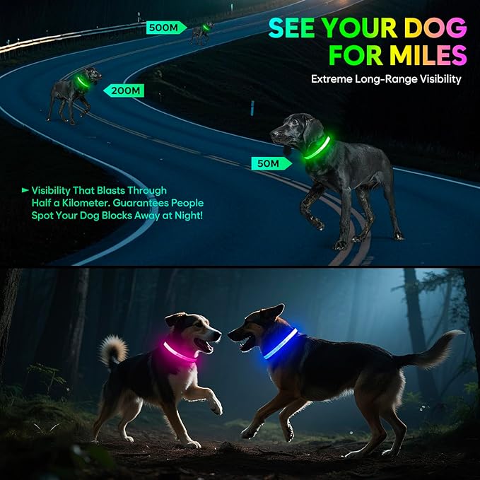 Light up Dog Collar - Multi-Color LED Dog Collar, USB-C Rechargable with Battery Indicator, Waterproof and Adjustable Rainbow Collar for Dogs(Medium)