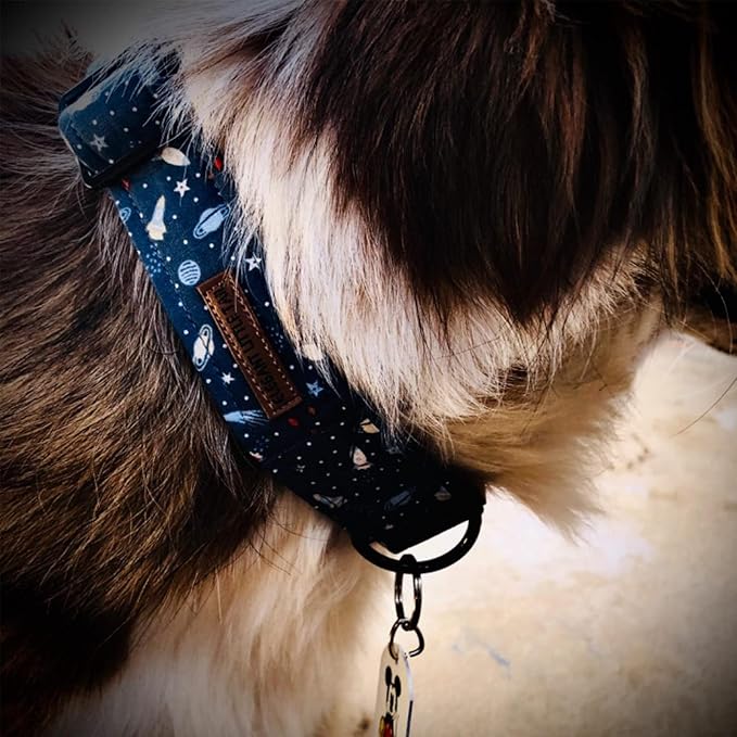 Elegant little tail Dog Collar, Blue Universe Pattern Pet Collar Durable Cute Dog Collars Male Pet Gift Adjustable Dog Collar for X-Large Dogs