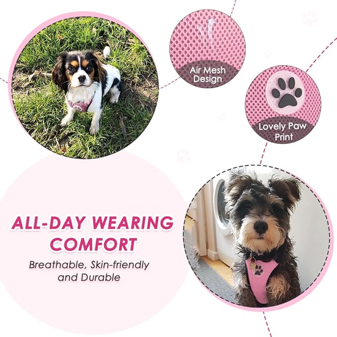 SlowTon Dog Seat Belt Harness for Car, Dog Car Harness Adjustable Mesh Breathable & Dog Seatbelt Safety Tether with Elastic Bungee for Small Medium Large Pets (Pink, Single Clip, XXS)