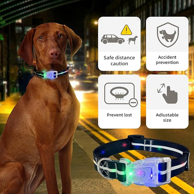 Light Up Dog Collar, USB Rechargeable Flashing LED Dog Collar, Adjustable Comfortable Glow in The Dark Puppy Collars, Safe Dog Collar Light for Medium Large Dogs(L Size)