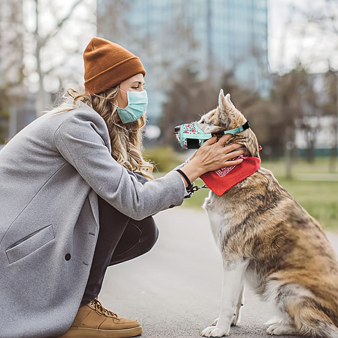 HEELE Dog Muzzle,Soft Nylon Muzzle Anti Biting Barking Chewing,Air Mesh Breathable Drinkable Adjustable Loop Pets Muzzle for Small Medium Large Dogs 4 Colors 4 Sizes (P-Cyan Flower, XL)