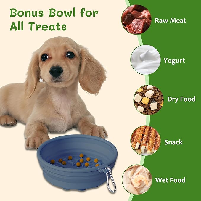 Collapsible Dog Bowl for Travel Outdoor Portable Silicone Pet Bowl with Carabiner Clip