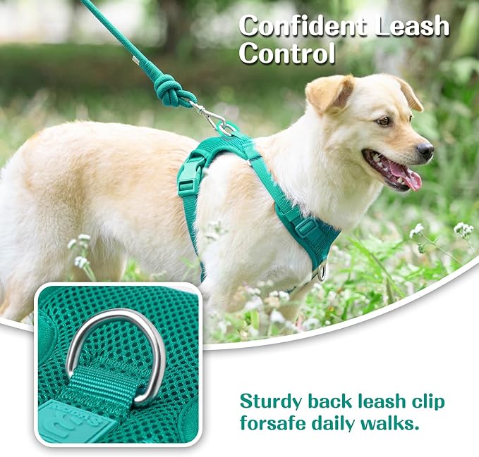No Pull Dog Harness for Small Medium Large Dogs - Adjustable 2 Layer Mesh Dog Vest with Dual Clip, Escape Proof, Quick Release, Lightweight Breathable Mesh for Walking Hiking (MARRS Green,XL)
