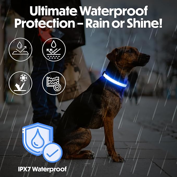 Light Up Dog Collar – Reflective, Adjustable & Rechargeable Electronic Glow Pet Collars – Bright, Comfortable, High Visibility LED Dog Collar for Night Safety, Outdoor Walk, Flashing Fun, Blue, Medium