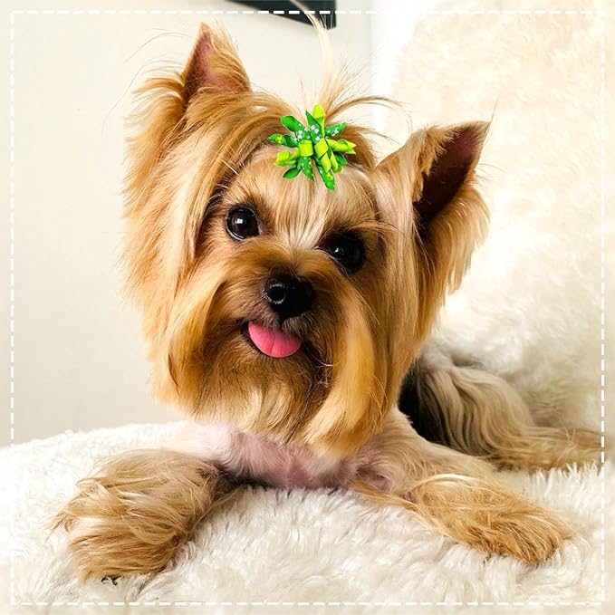 PET SHOW 20pcs/10pairs Curly Dog Hair Bows with Rubber Bands for Small Medium Dogs Spiral Puppy Swirl Topknot Cat Festival Hair Accessories Pet Favor Gift (Holiday Assorted)