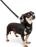 rabbitgoo Dog Harness Small Sized and Leash Set, Step in Soft Light Puppy Vest, Breathable Mesh Pet Harness, Reflective for Outdoor Safe Walking, Black XXXS