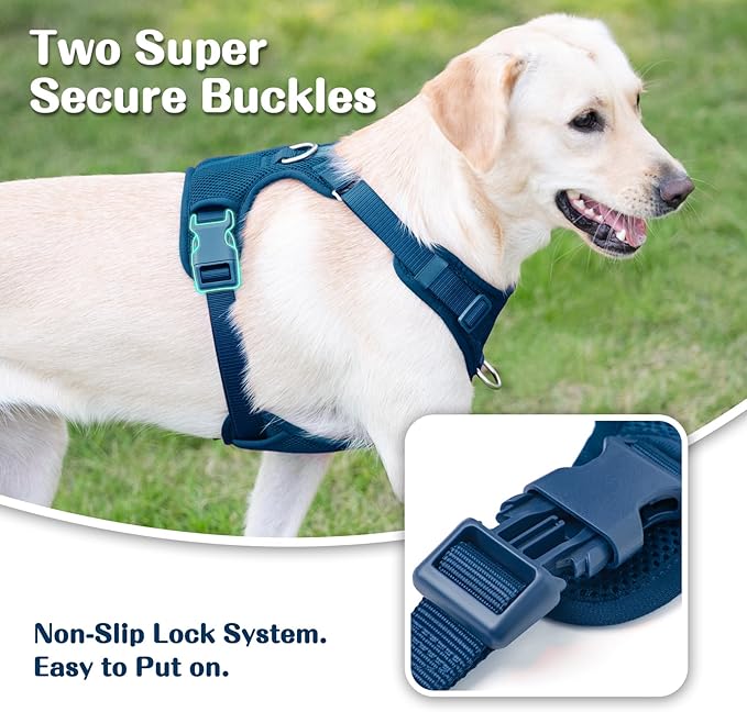 No Pull Dog Harness for Small Medium Large Dogs - Adjustable 2 Layer Mesh Dog Vest with Dual Clip, Escape Proof, Quick Release, Lightweight Breathable Mesh for Walking Hiking (Prussian Blue,S)