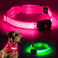 Light Up Dog Collar for Night Walking Flashing, LED Dog Collar Light Rechargeable Reflective Dog Collar Water-Resistant Adjustable Size Dog Collars for Medium Dogs
