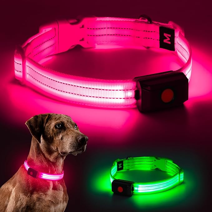 Light Up Dog Collar for Night Walking Flashing, LED Dog Collar Light Rechargeable Reflective Dog Collar Water-Resistant Adjustable Size Dog Collars for Medium Dogs